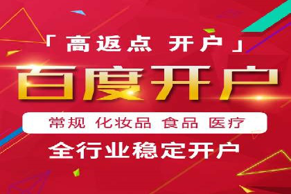 SEM推广实战：成功案例解读与策略调整